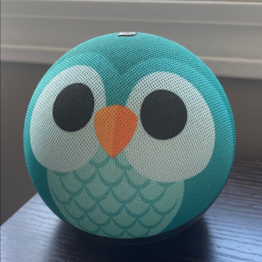 Amazon Echo Dot for Kids in Owl Pattern